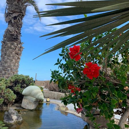 גרנדילה דה אבונה Little Paradise In El Medano 2 מראה חיצוני תמונה