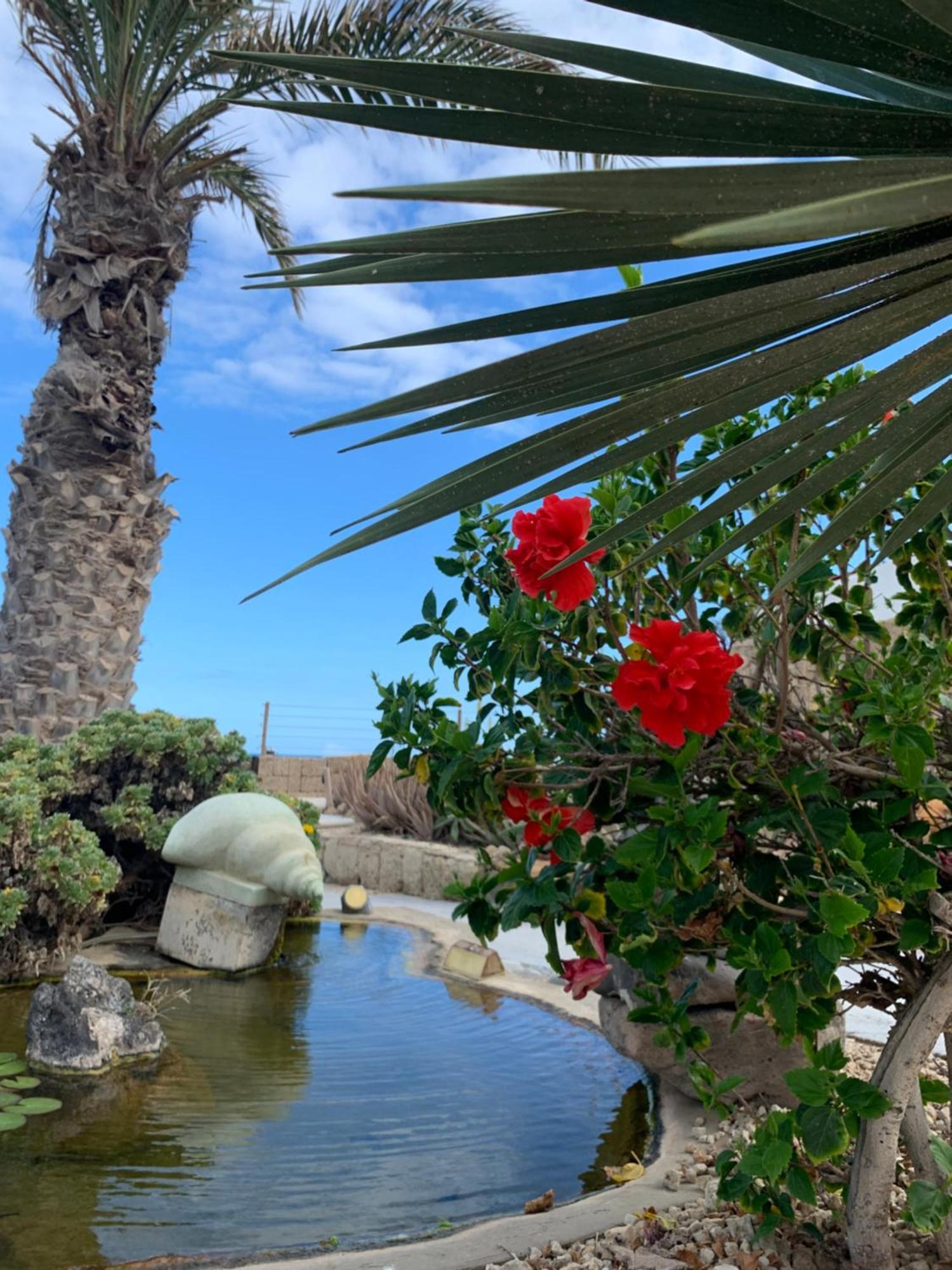גרנדילה דה אבונה Little Paradise In El Medano 2 מראה חיצוני תמונה